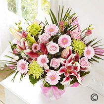 Pink Extravagance Hand-Tied